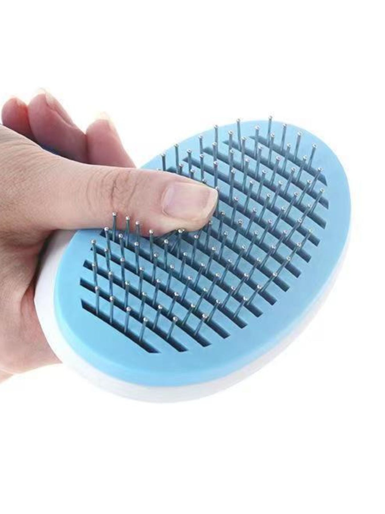 0e8d1ab9-0af7-460c-b21b-359cb0072e24-Max