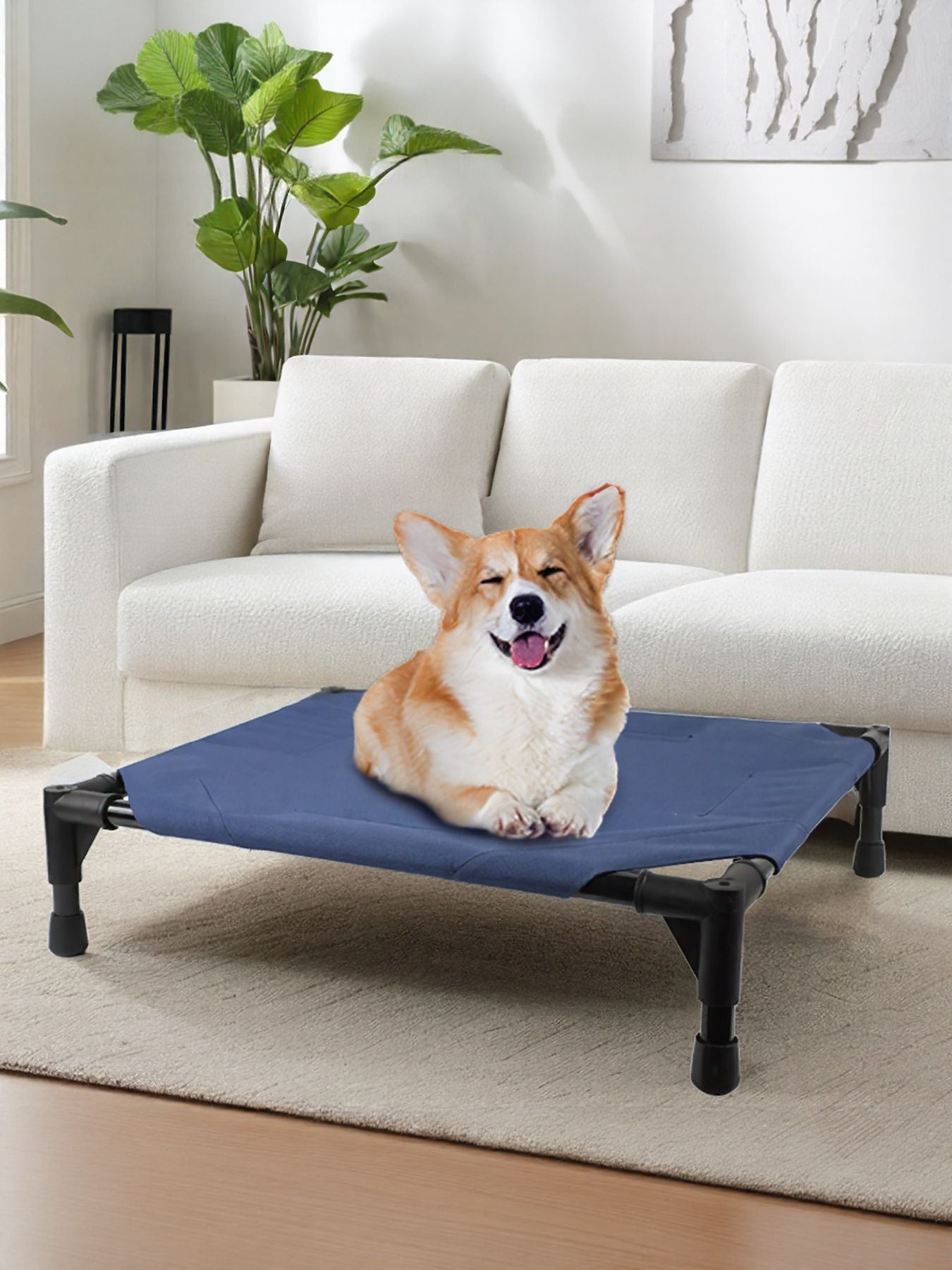 19415c41-a45f-4d07-8bfd-4c74e6b77e39-Max