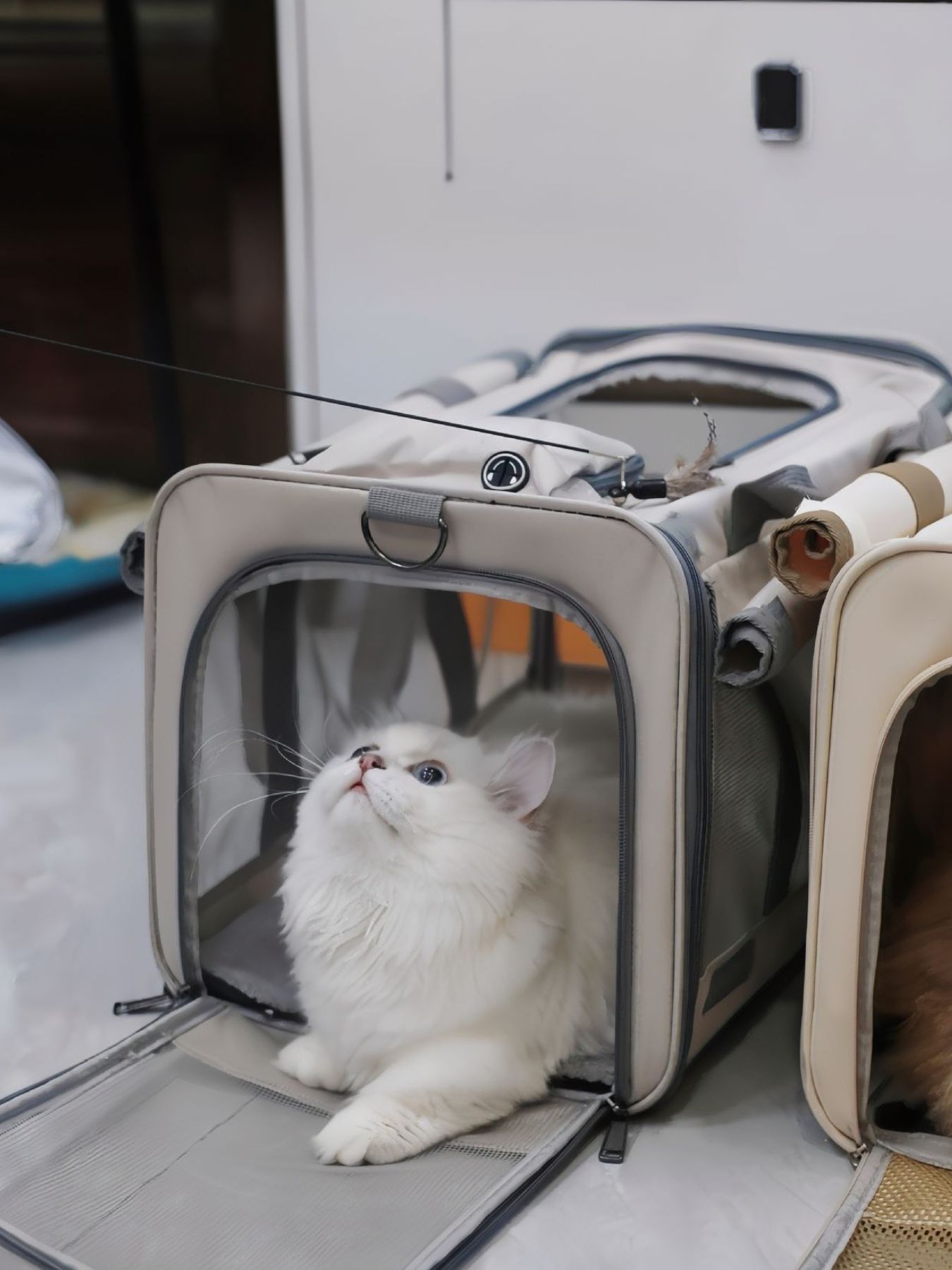 37f3879f-018a-43e4-bb54-725c1d41a635-Max