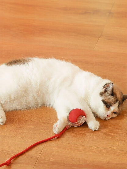 422364fc-ea3e-47b4-983a-0e4d2dd57b2d-Max