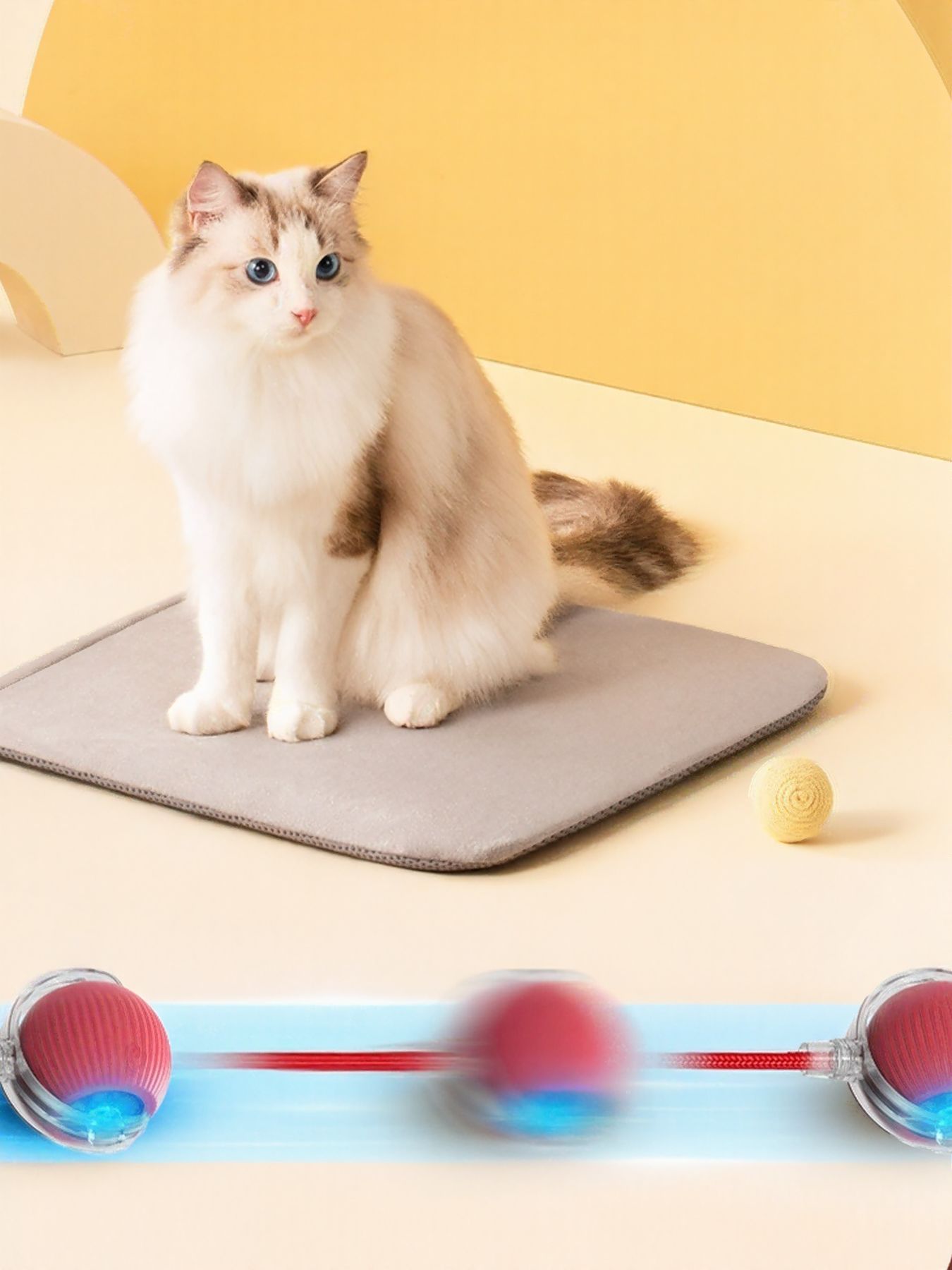 65a5fd22-107a-4328-9573-24aedef516f3-Max