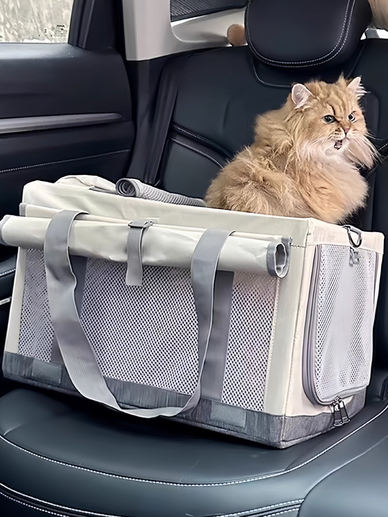 d0b041c498514500be26e41e3cff2f7b-Max